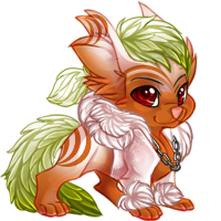 newest user customs